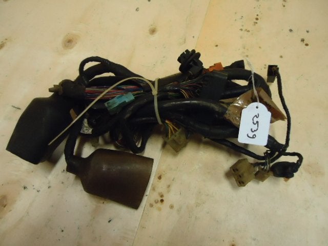 CBR600F 1999 - 2000 Honda Kabelboom Kabelboom hoofd D1-16748