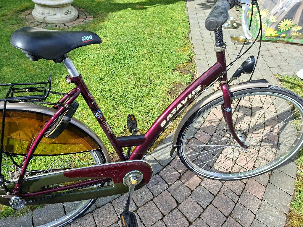 Damesfiets, Ophalen, Batavus