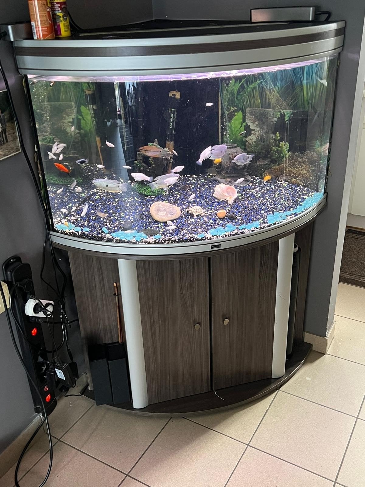 hoekaquarium Aqualantis in perfecte staat, Dieren en Toebehoren, Ophalen, Inclusief toebehoren