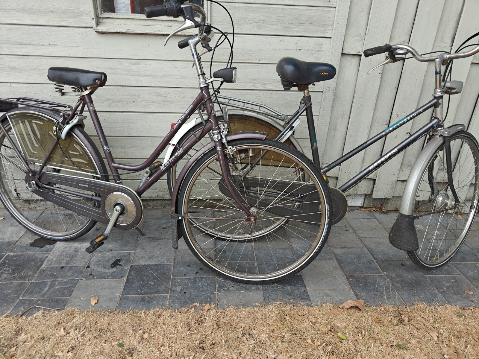 Dames-studenten-fietsen, Vitesses, Batavus, Enlèvement, Utilisé
