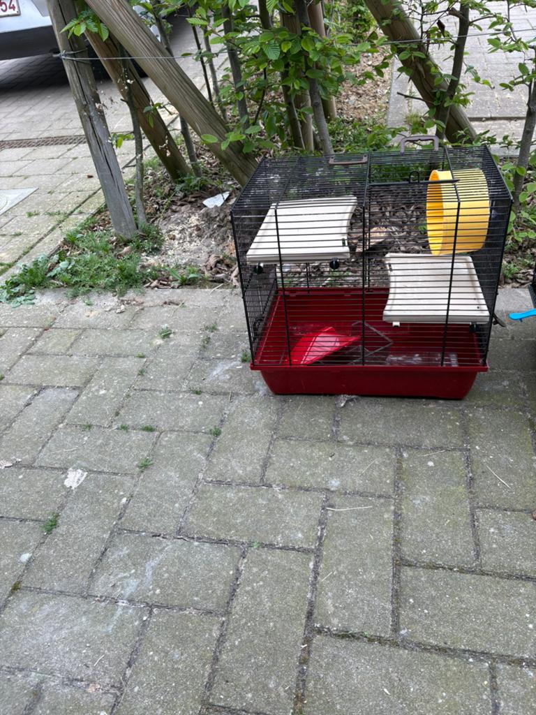 Hamsterkooi, Dieren en Toebehoren, Ophalen