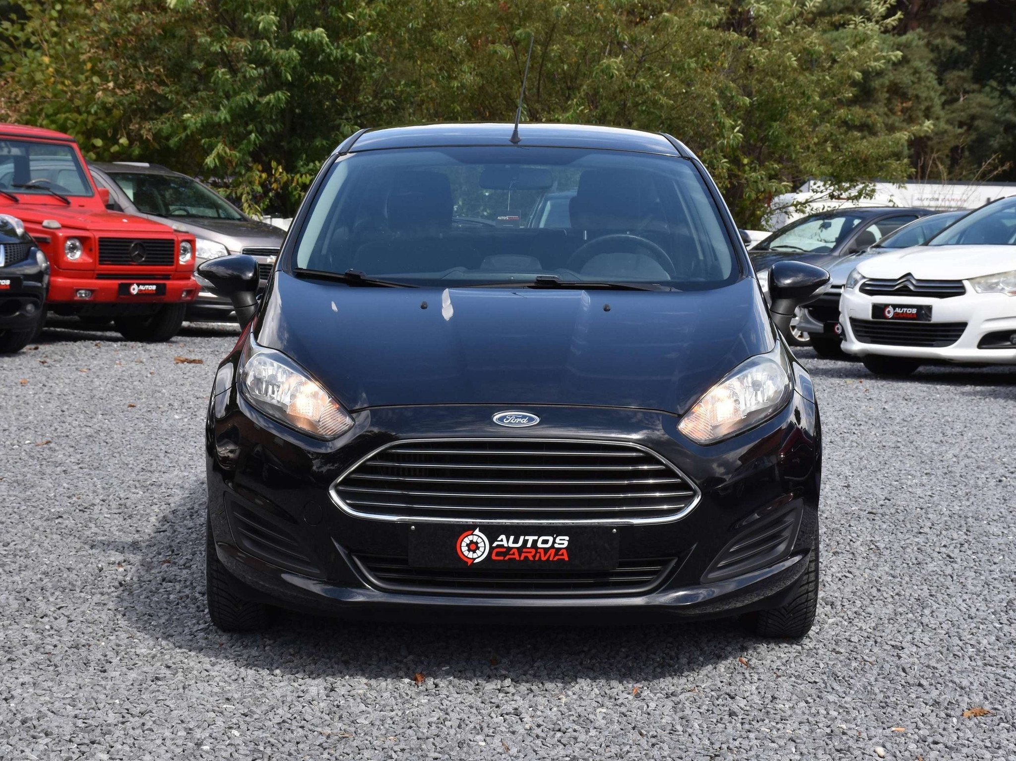 Ford Fiesta Fiesta 1.6 TDCi Trend ECOnetic S/S, Autos, Euro 5, Achat, Entreprise, 5 portes