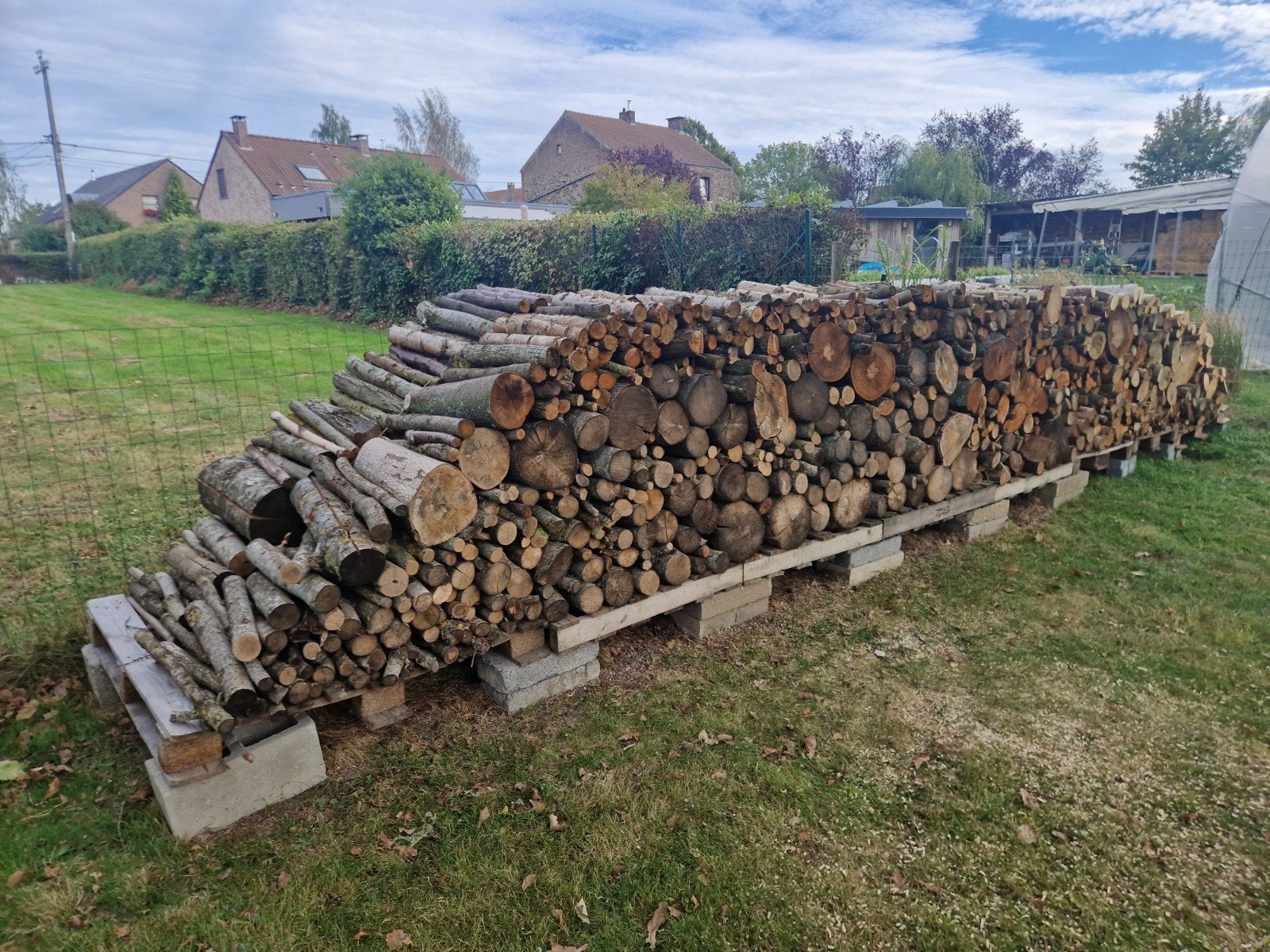 Bois de Chauffage, Jardin & Terrasse, 6 m³ ou plus, Enlèvement, Hêtre, Bûches