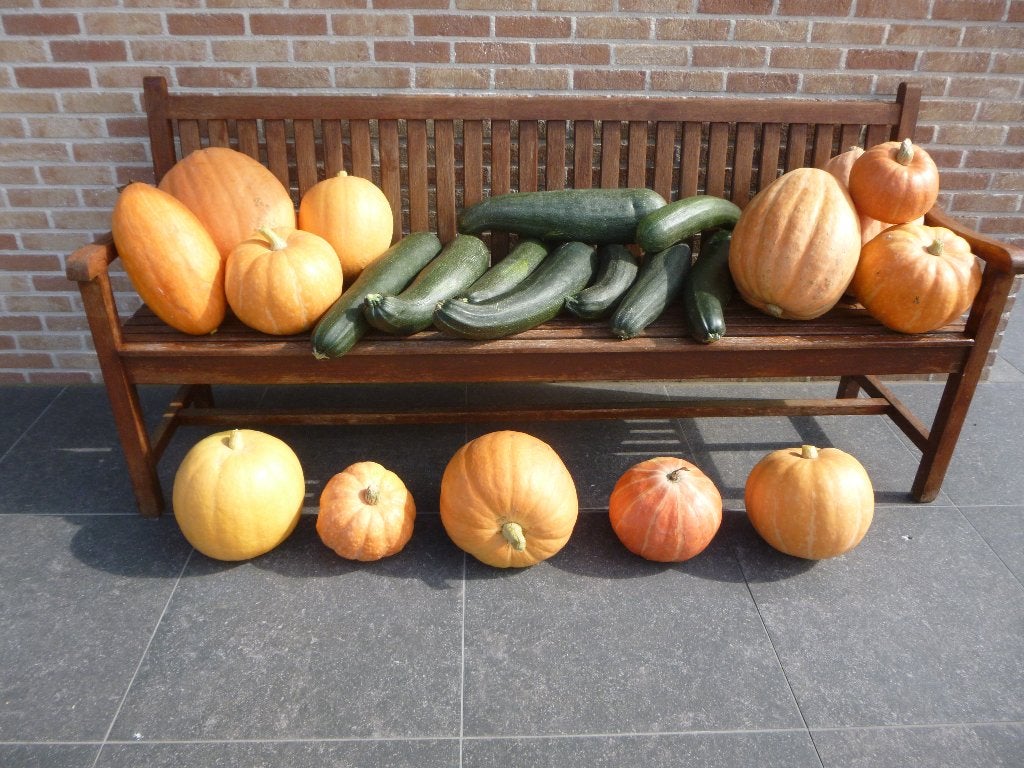 pompoenen en courgetten, Diversen, Levensmiddelen, Ophalen