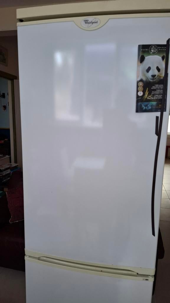 Procurez-vous le combiné réfrigérateur/congélateur Whirlpool, Avec compartiment congélateur, Utilisé, 45 à 60 cm, 150 à 200 litres