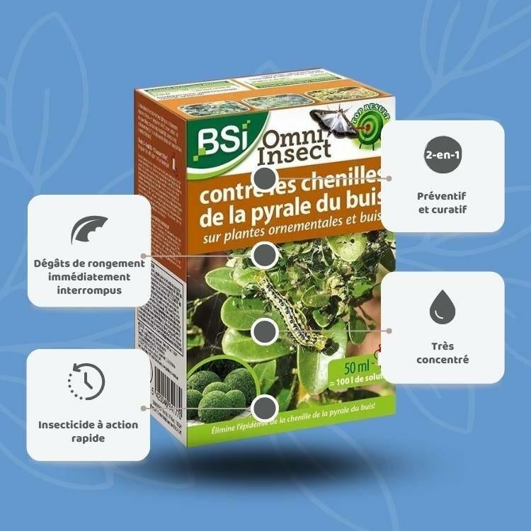 Lot BSI - Buis moths, Ophalen of Verzenden, Buxus, Haag