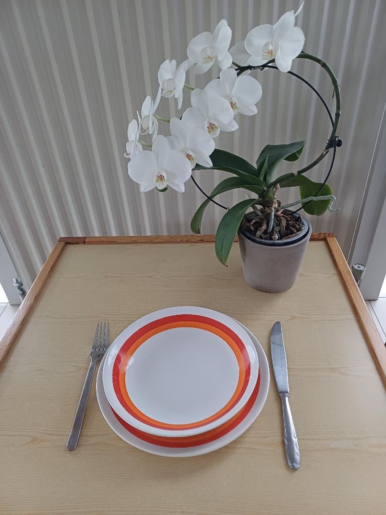 Vintage Rode Orchies Moulin des Loups Borden (15-delig), Enlèvement, Utilisé, Autres matériaux, Assiette ou Plat