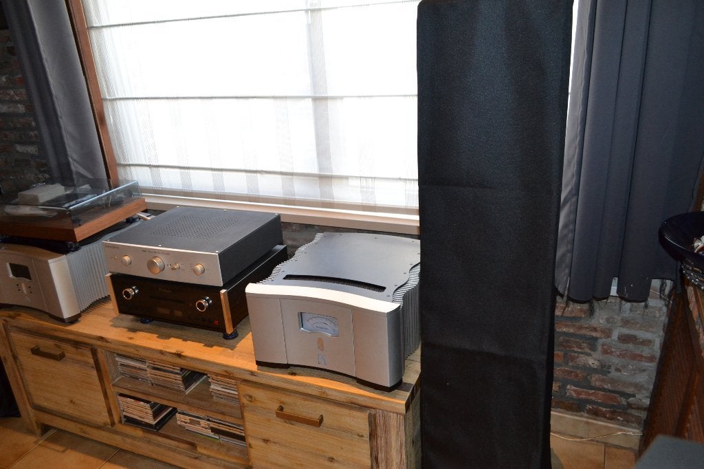 Ps Audio  Eindversterker Classic 250 & Powerplant P1000, TV, Hi-fi & Vidéo, Enlèvement, Utilisé, 120 watts ou plus, Autres marques