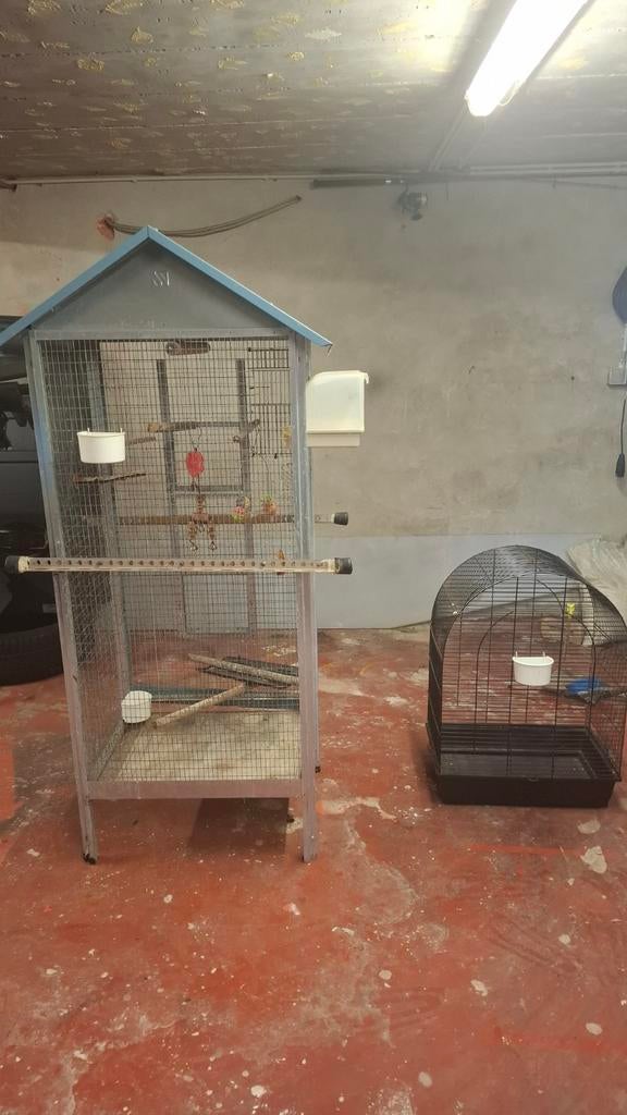 Twee vogel kooien, Dieren en Toebehoren, Ophalen