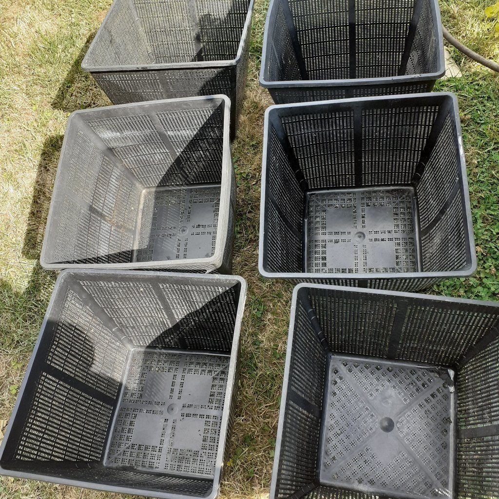 Vijvermanden, Jardin & Terrasse, Accessoires pour étangs, Enlèvement, Comme neuf, Autres types