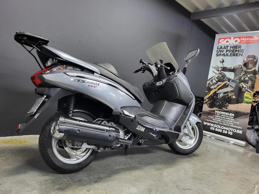 SYM GTS 250i (A2) (année de construction 2009), Scooter, Entreprise, 12 à 35 kW, Sym
