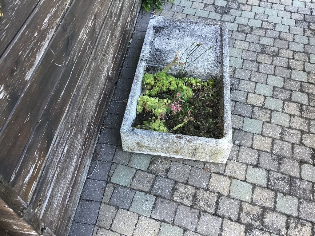 Gratis 2 oude gootstenen, Ophalen, Steen, Gebruikt, Minder dan 30 cm