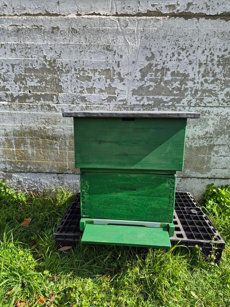 Bijenkast simplex, Dieren en Toebehoren, Bijen