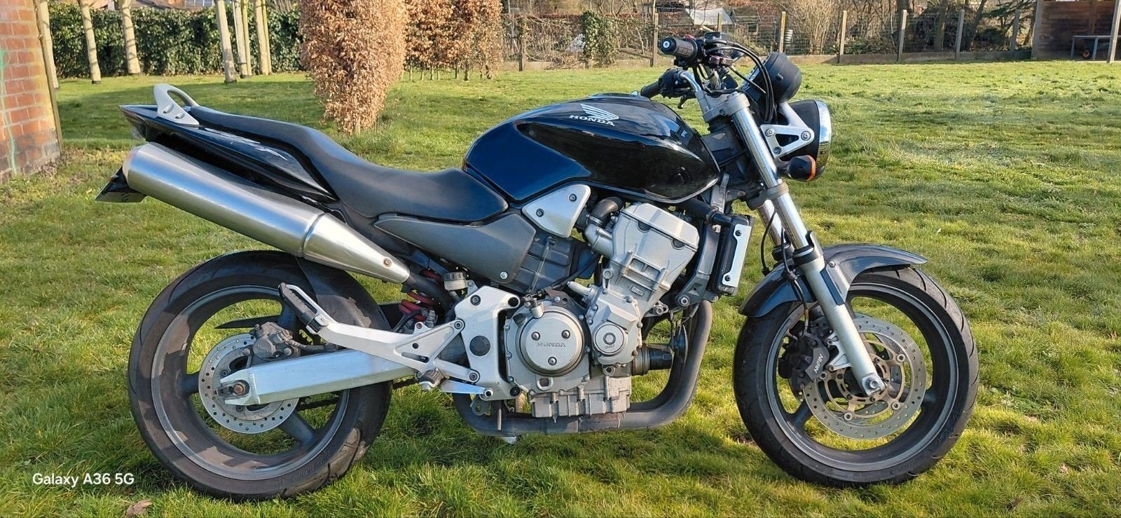 Honda cb900  Hornet (2004), Motoren, Motoren | Honda, Occasion, 4 cilinders, 900 cc, Particulier