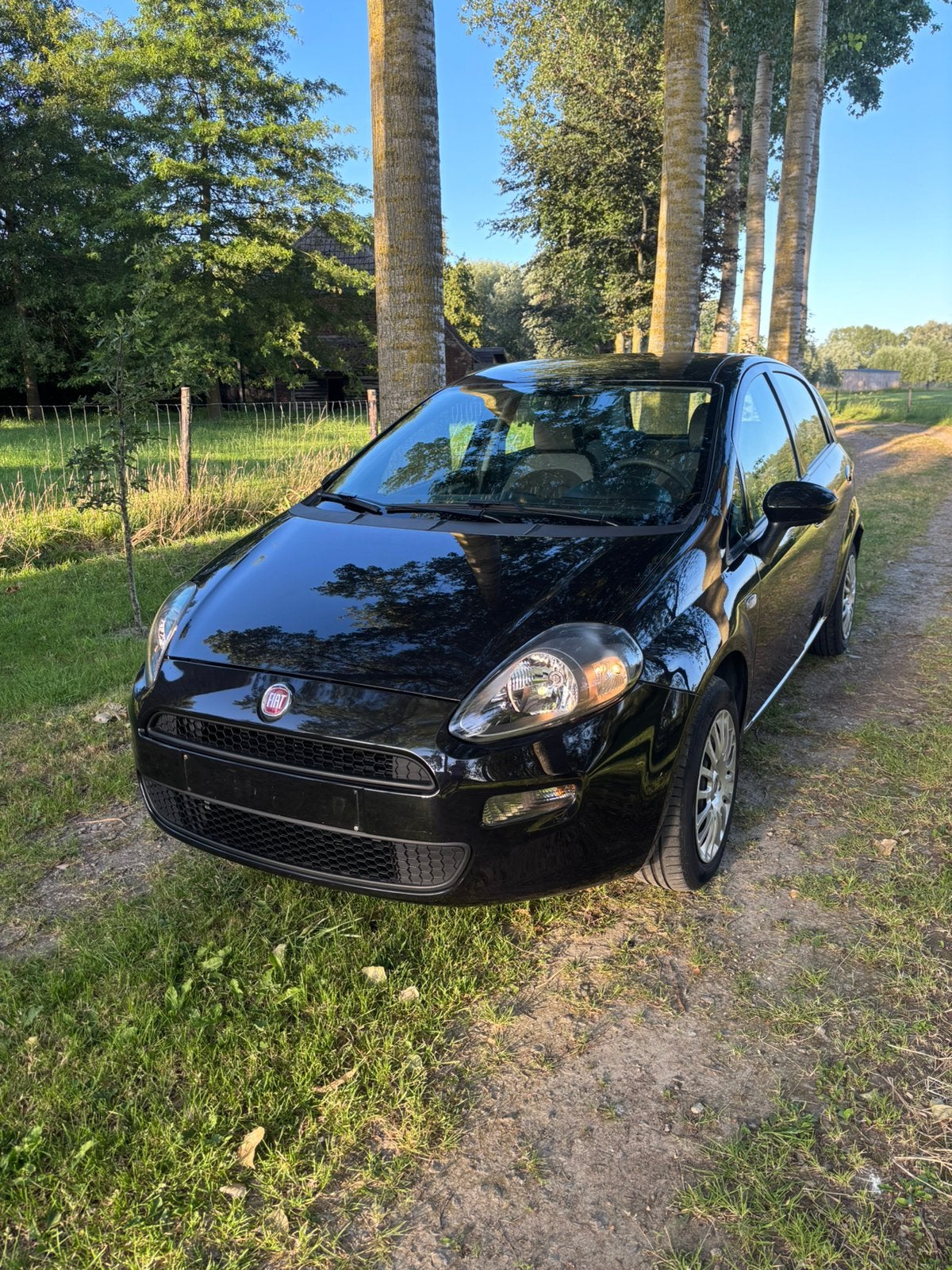 Fiat Punto EVO 1.2Benzine 2012 Slechts 52.000 km 1e Eigenaar, Autos, Fiat, Euro 5, Achat, Boîte manuelle, 5 portes