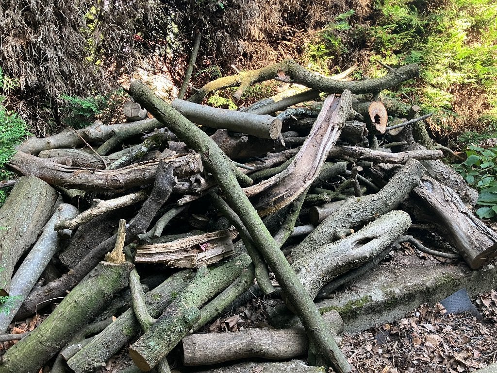 Brandhout, Tuin en Terras, Ophalen of Verzenden