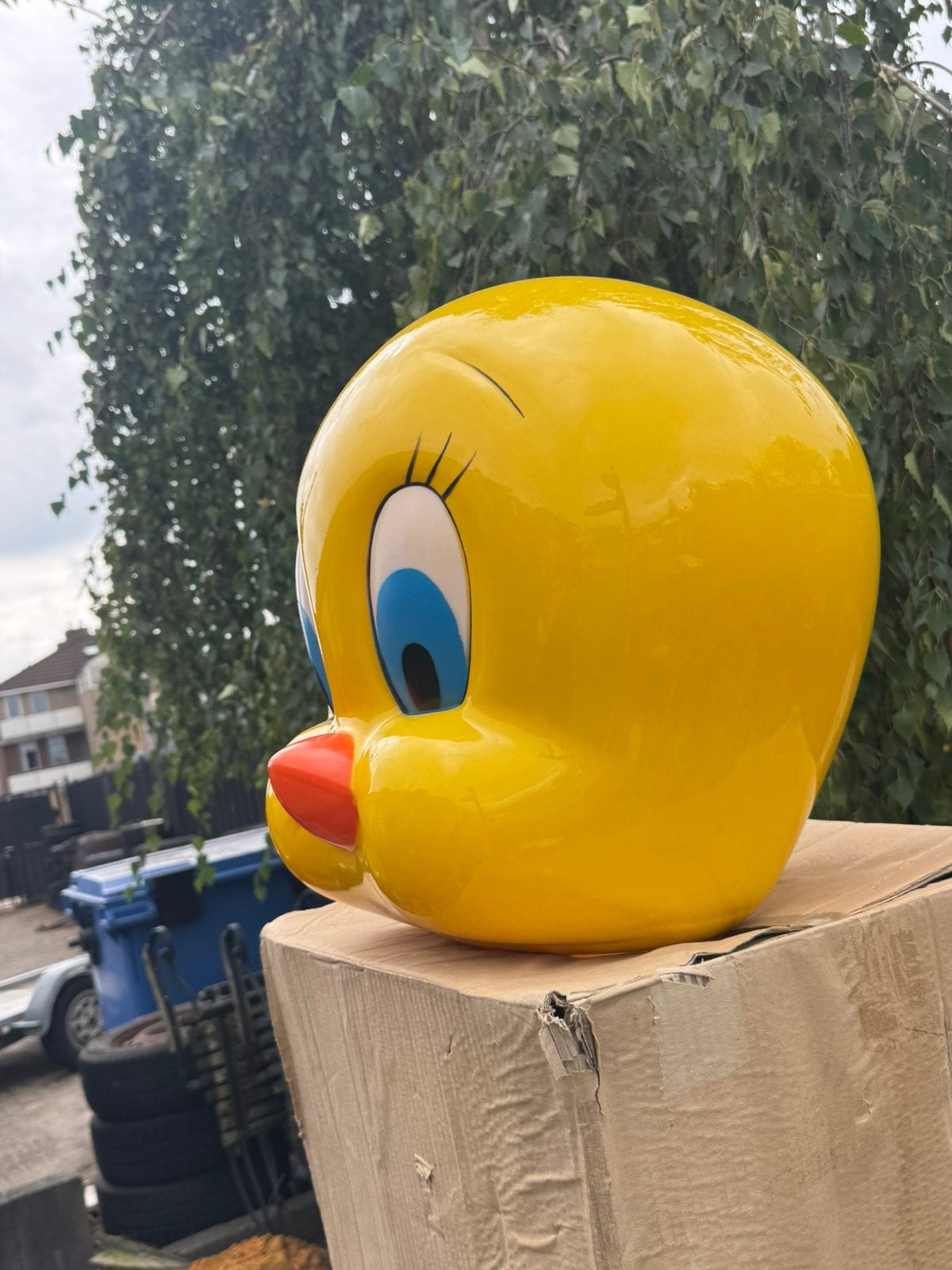 Image de la tête de Tweety Looney Toones, Statue ou Figurine, ., Looney Tunes, Enlèvement