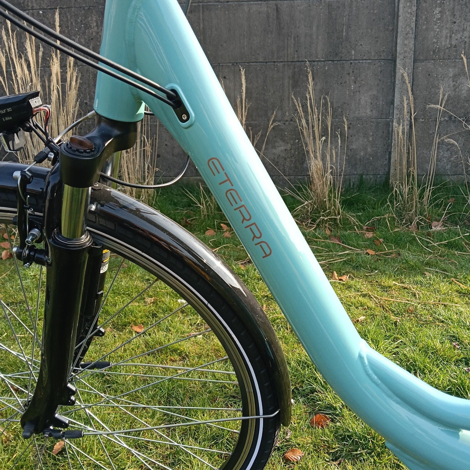 ETERRA (Minerva) electrische fiets, Enlèvement