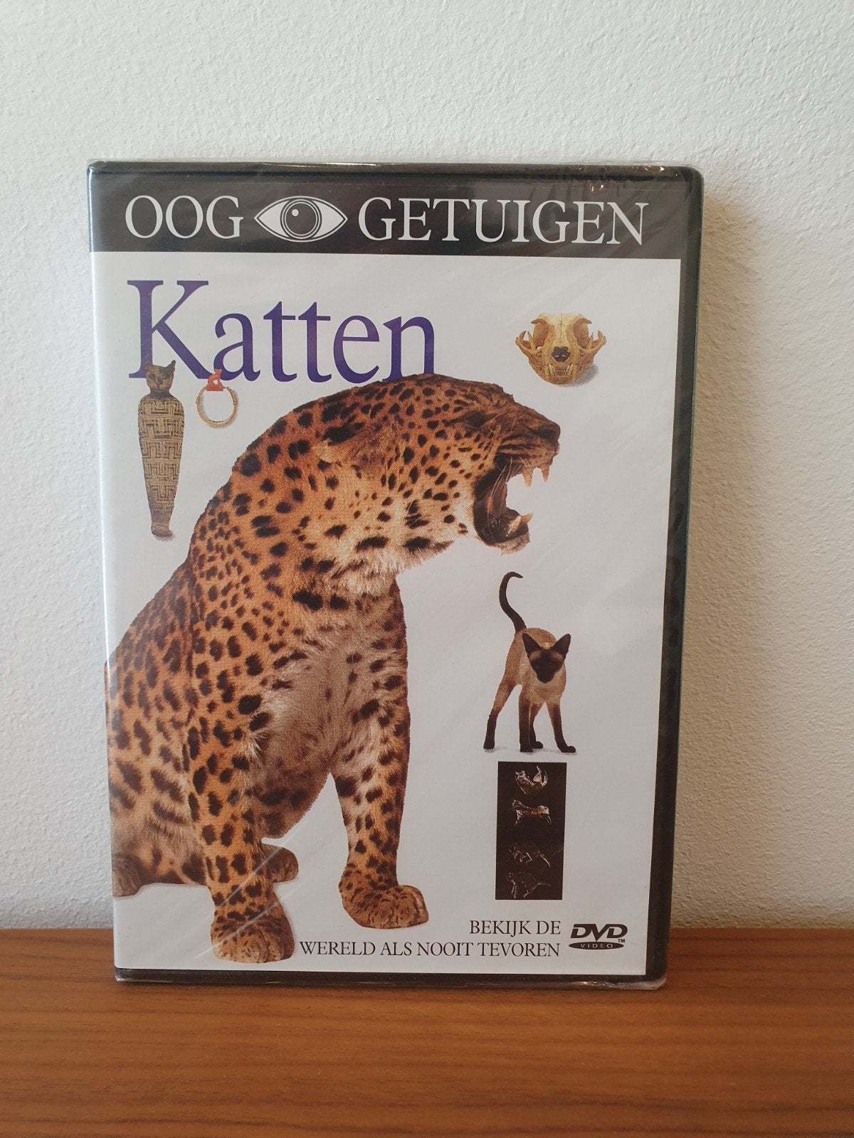 Ooggetuigen - Katten (nog geseald), CD & DVD, DVD | Documentaires & Films pédagogiques, Enlèvement ou Envoi