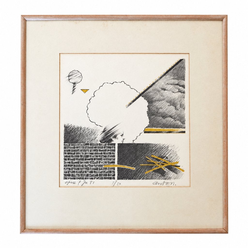 2 zeefdrukken, Antiek en Kunst, Ophalen of Verzenden