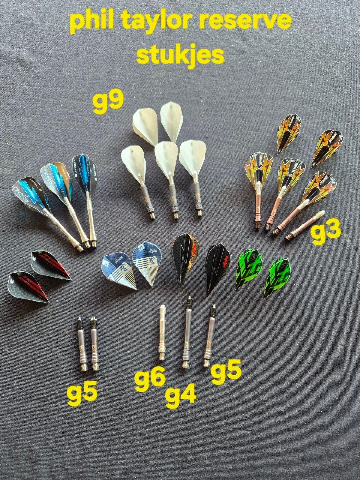 darts Phil Taylor, Ophalen of Verzenden