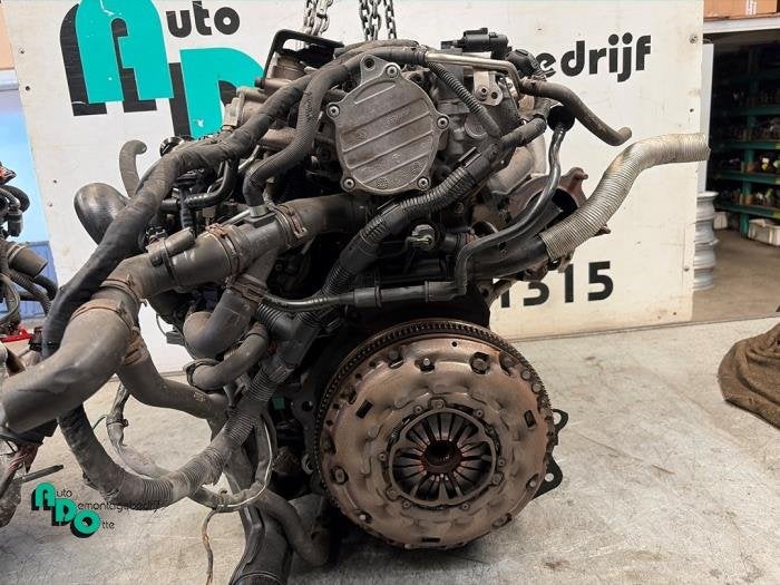 Moteur d'un Volkswagen Golf (Golf 04-), Volkswagen, -, 3 mois de garantie, Utilisé