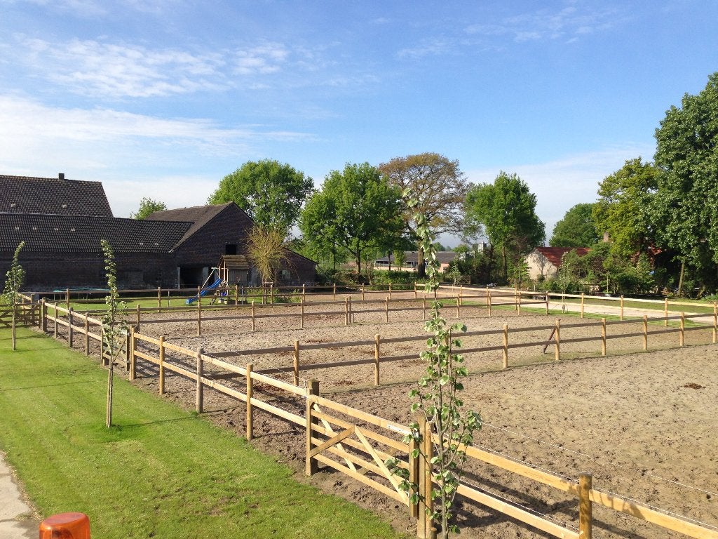 Omheining | paardenomheining | afrastering | weideafsluiting, Weidegang, 4 paarden of pony's of meer