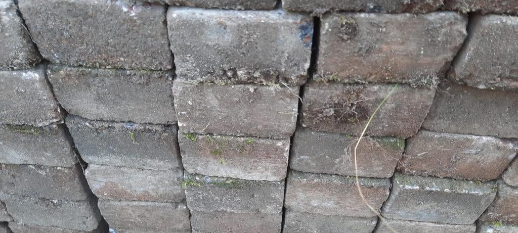 Klinkers, Tuin en Terras, Ophalen
