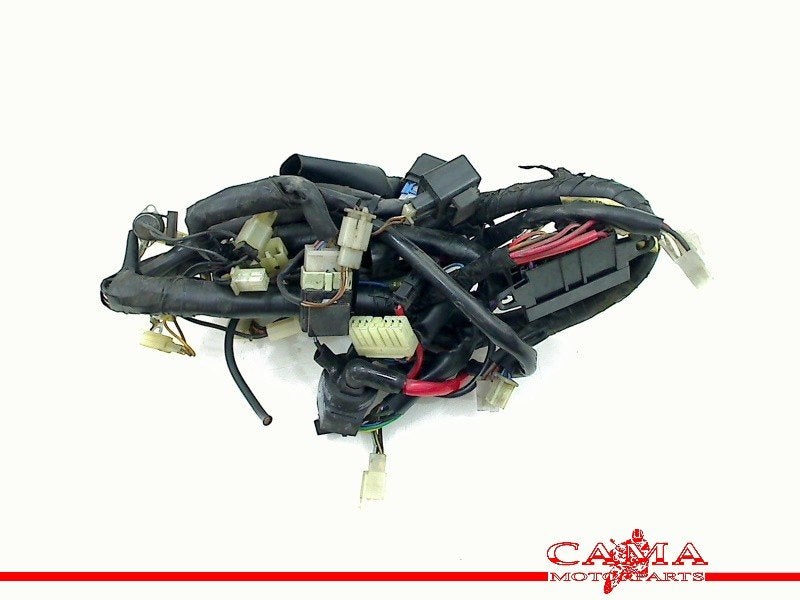 FAISCEAU DE CÂBLAGE DIVERS Yamaha, Dhr. S. di Majo, Utilisé, Info@cama-motorparts.nl, P.J. Troelstraweg 8 8
3144 CX  MAASSLUIS, NL