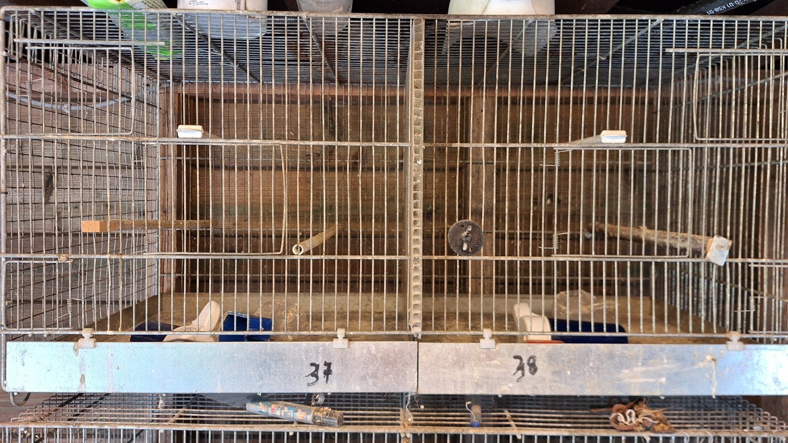2 kweekkooien voor kanaries, Dieren en Toebehoren, Ophalen