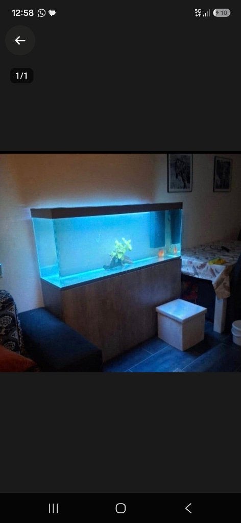 Aquarium 150 cm, Enlèvement
