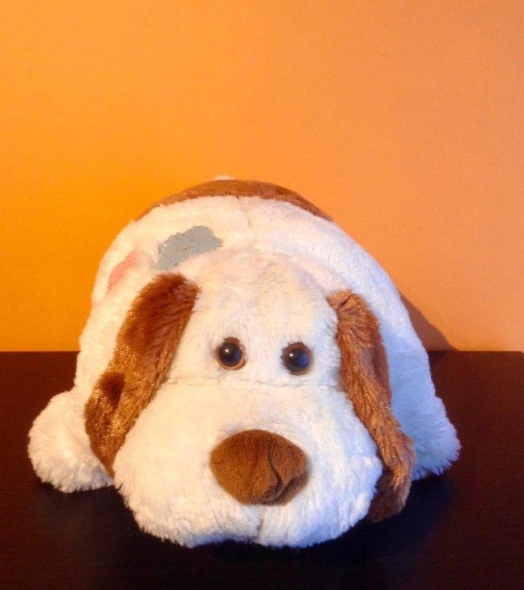 Kussen voor honden van pluche, Ophalen of Verzenden, Zo goed als nieuw, Hond, Middelgroot (20 tot 80 cm)