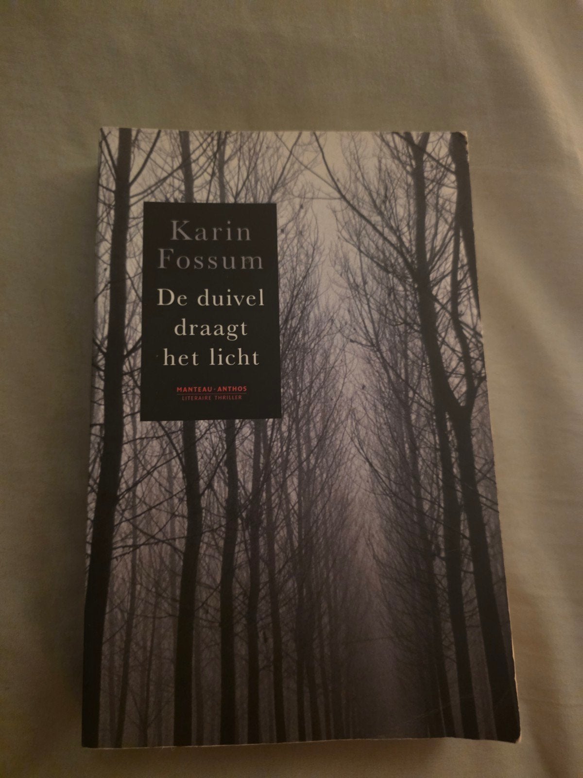 👹👹👹De duivel draagt het licht. Karin Fossum👹👹👹, Gelezen, Ophalen of Verzenden, Nederland, Karin Fossum