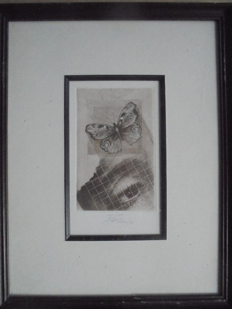 Walter Brems  Ets  Oog + Vlinder, Verzenden, Ets, Genummerd