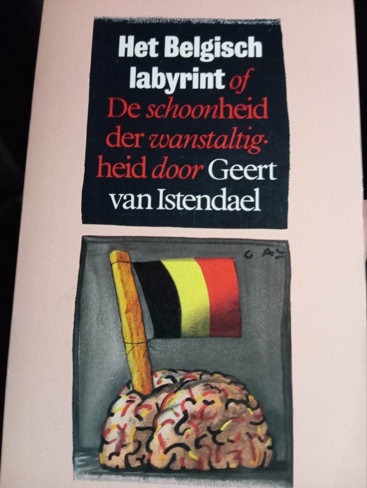 Her Belgisch labyrint - Geert Van Istendael, Boeken, Geschiedenis | Nationaal, Ophalen of Verzenden