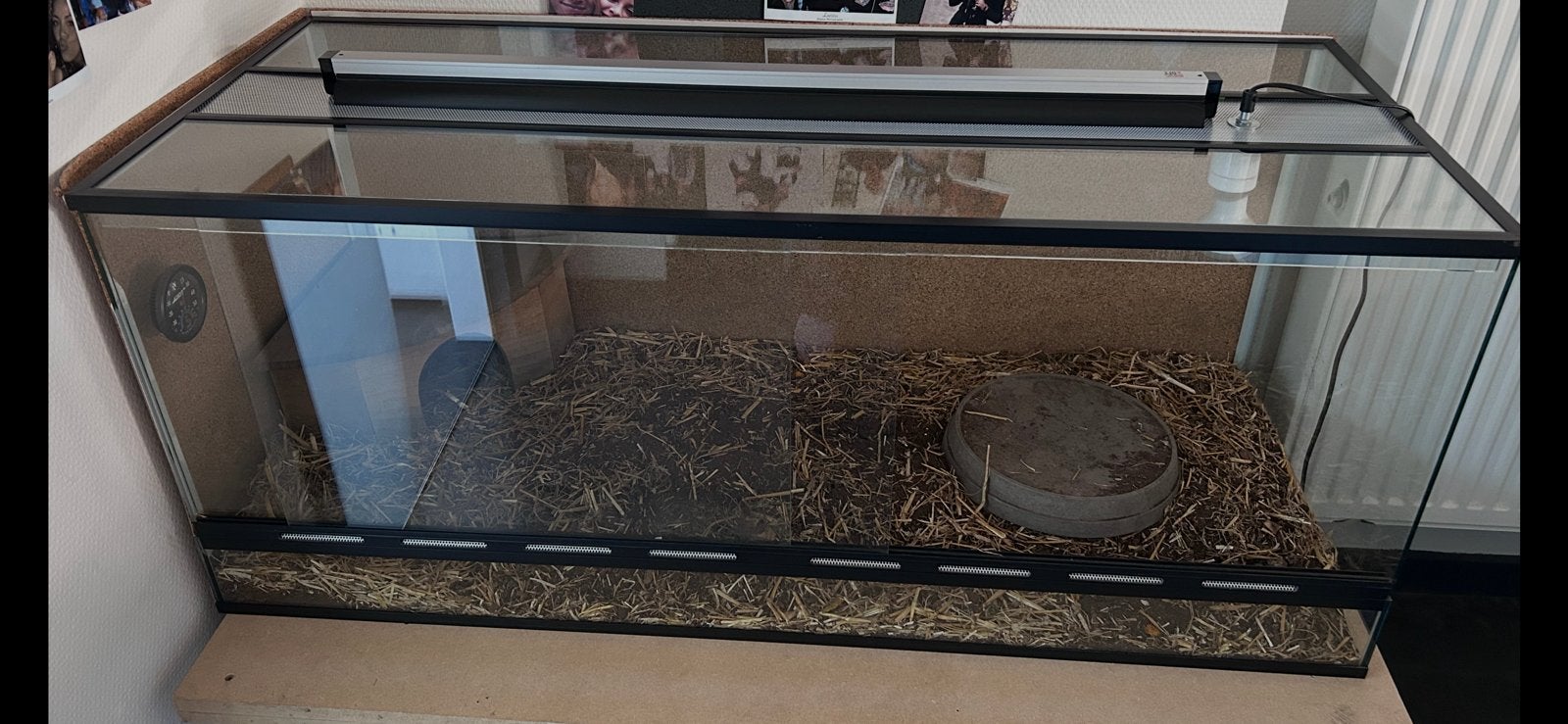 Terrarium, Ophalen, Zo goed als nieuw