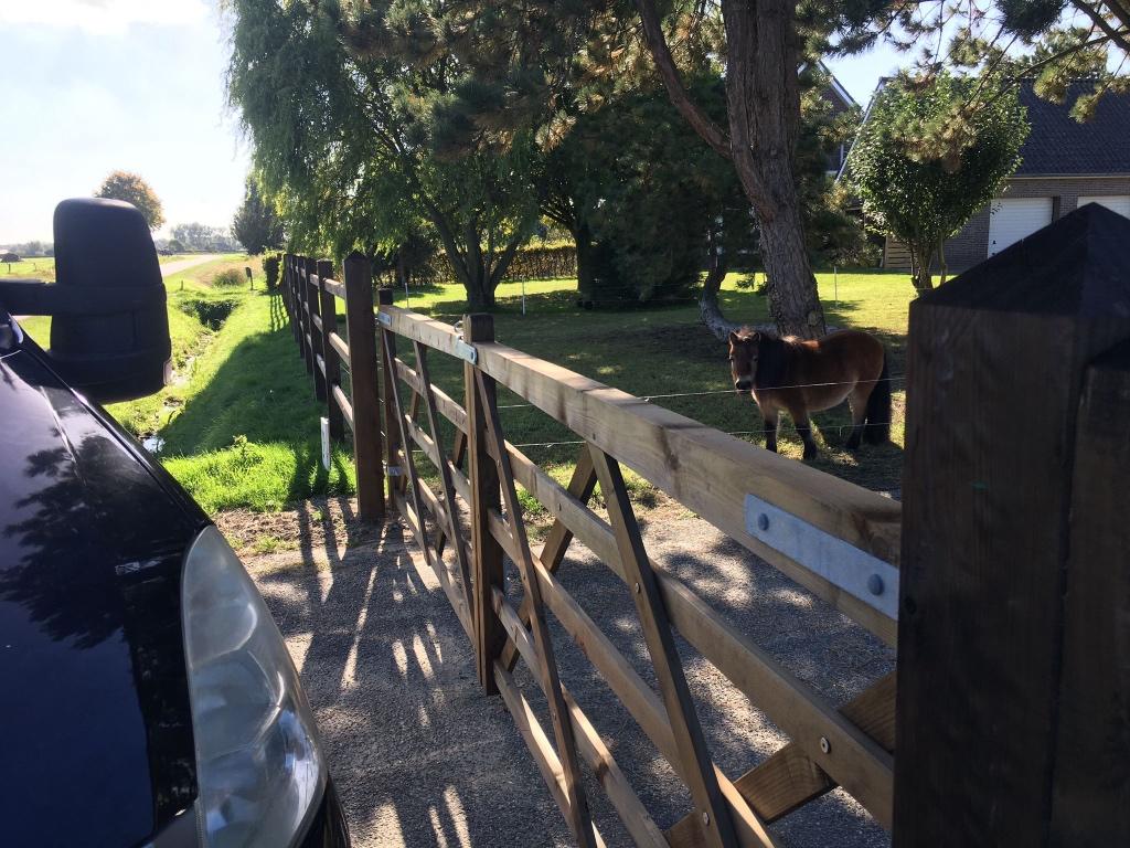 Omheining | paardenomheining | afrastering | weide, Weidegang, 4 paarden of pony's of meer