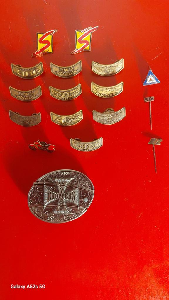 Pins voor Harley-Davidson liefhebbers., Motoren, Particulier, Gebruikt