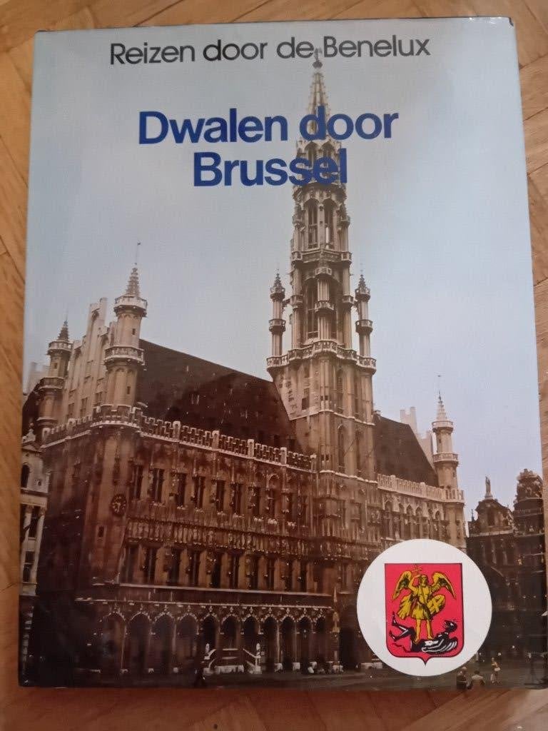 Boek dwalen door brussel, Enlèvement