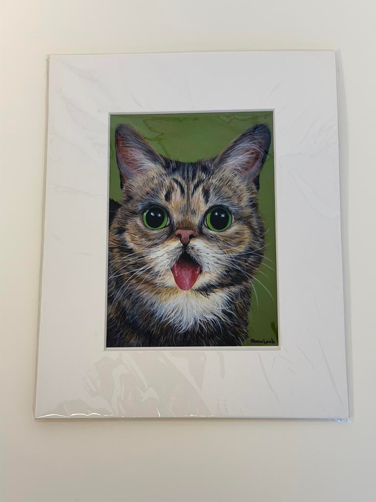 Lil Bub kunstprint Sharon Lamb 26x21 poes kat kunst print, Ophalen of Verzenden