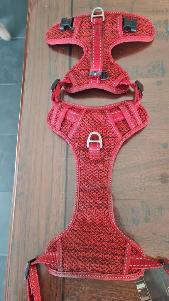 Rogz Explore Tuig Gevoerd Rood - Hondenharnas - S 36-57 Cm, Dieren en Toebehoren, Hondenriemen, Zo goed als nieuw, Ophalen of Verzenden