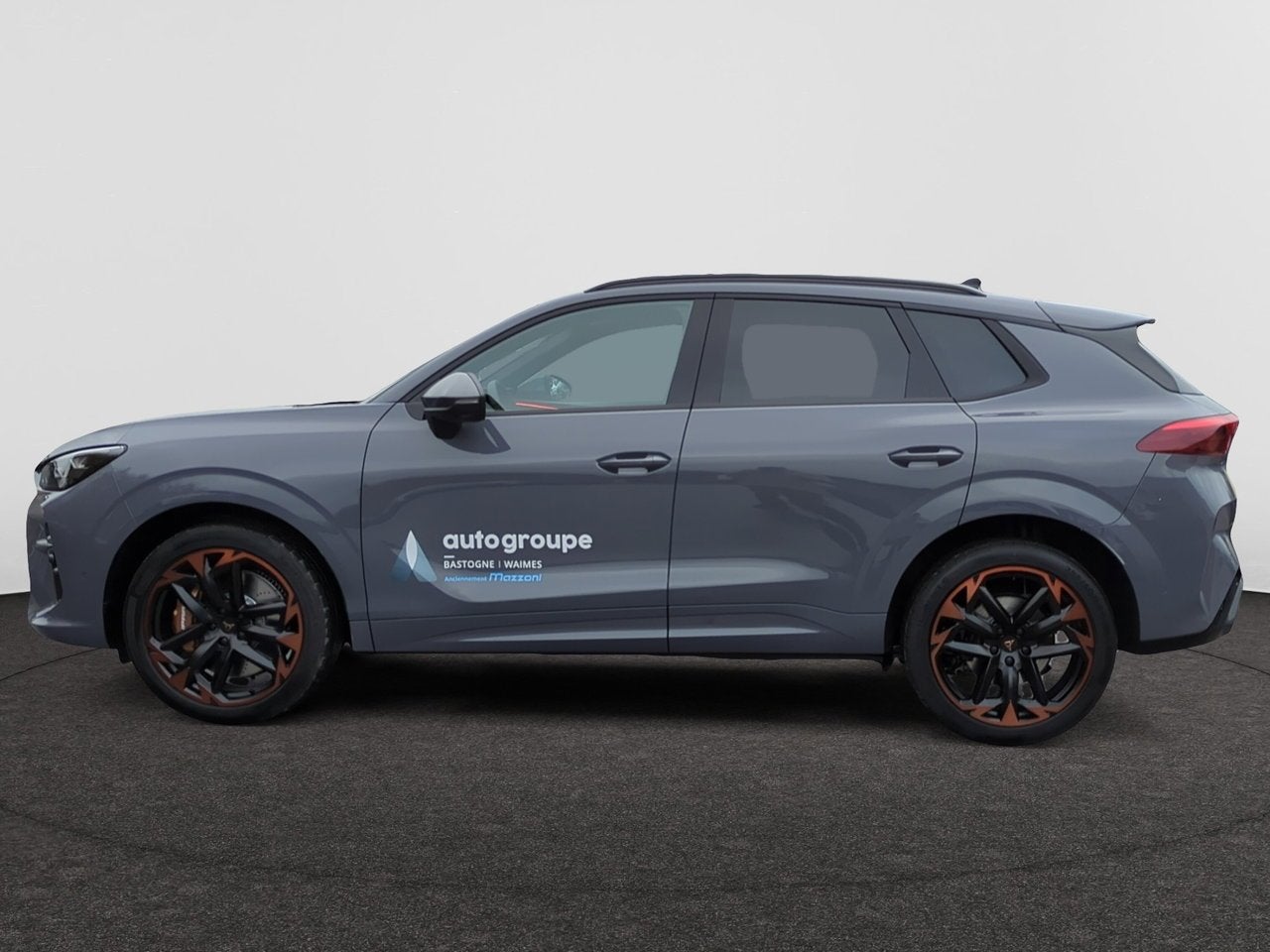 Cupra Terramar VZ 2.0 TSI 265ch DSG 4Drive, Autos, Argent ou Gris, Achat, Terramar, Automatique