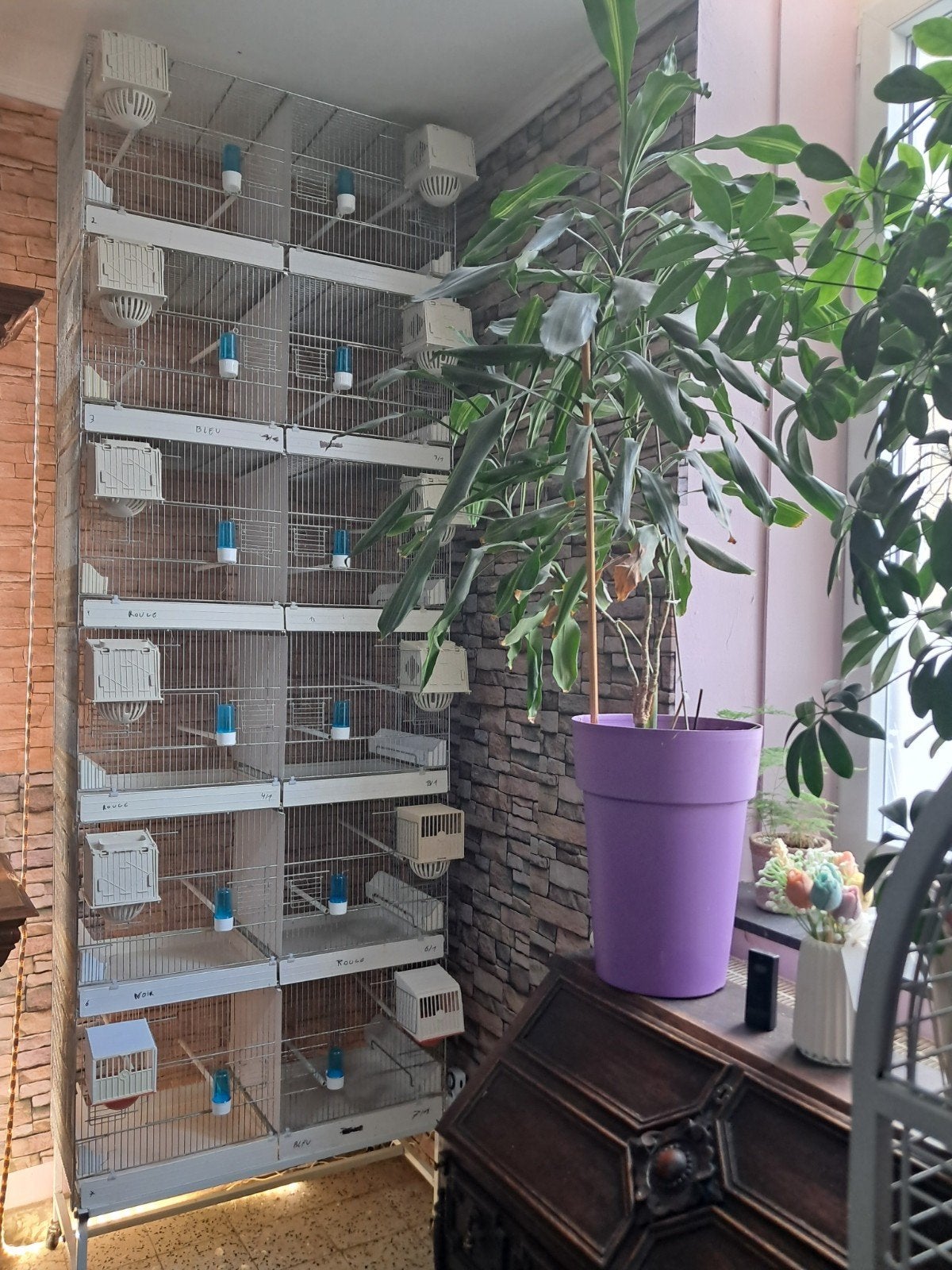 6 cages complète, Animaux & Accessoires, Oiseaux | Cages & Volières, Comme neuf