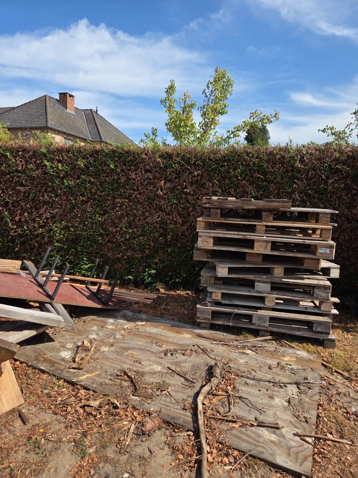 brandhout gratis stokrooi hasselt ophalen, Enlèvement