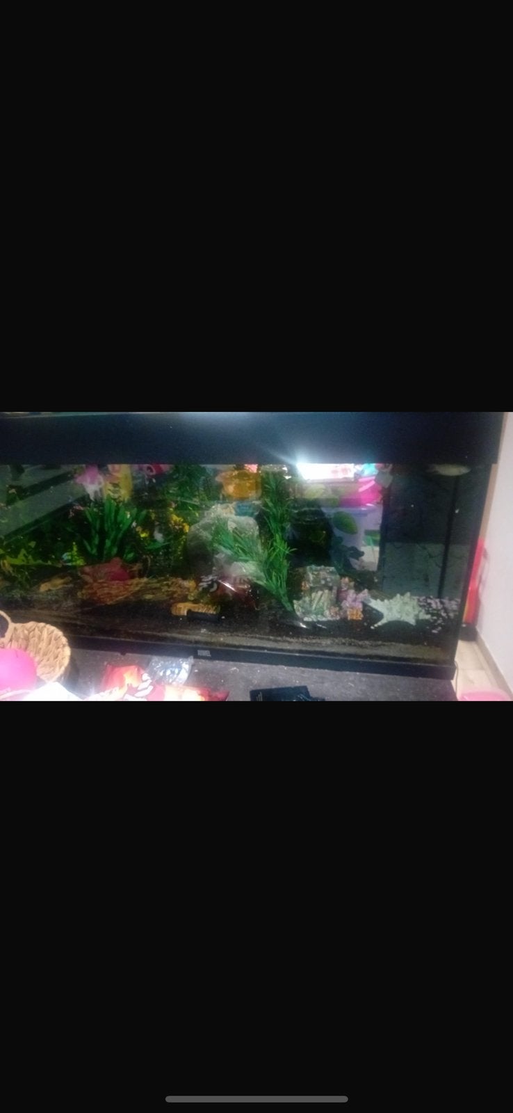 Complete aquarium met vissen + kast, Ophalen, Zo goed als nieuw