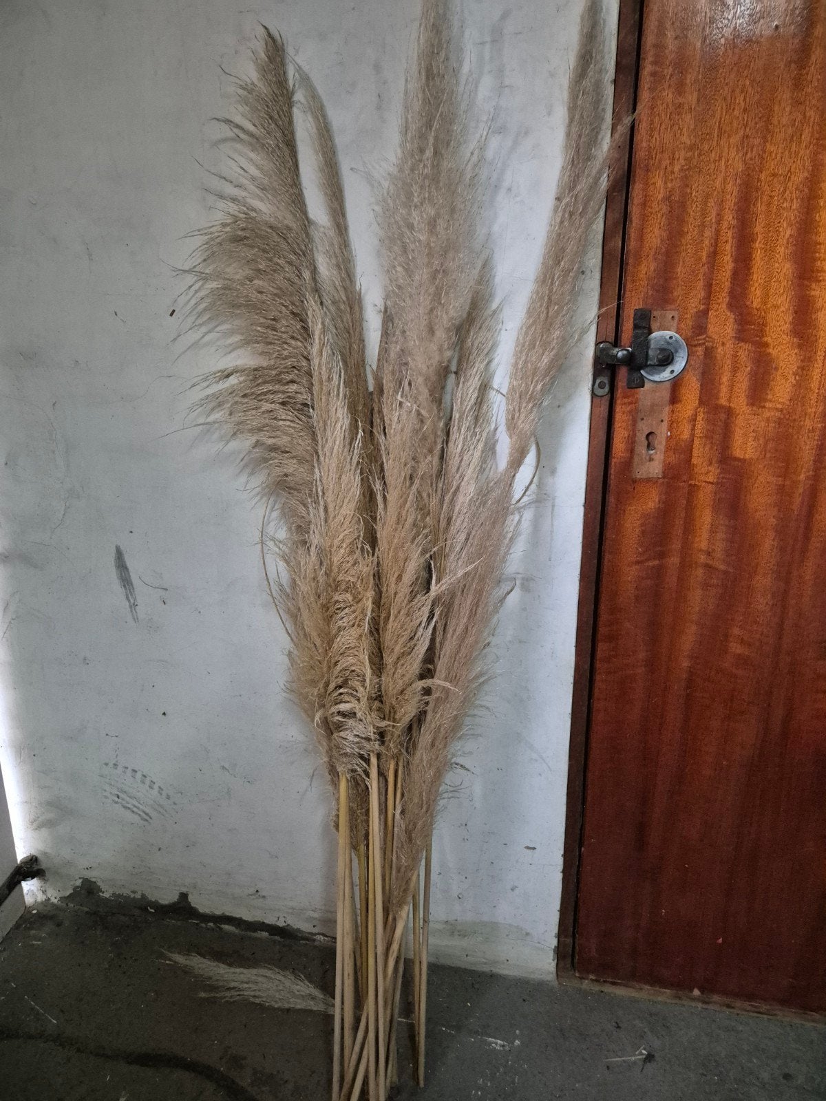 pampas, Huis en Inrichting, Ophalen