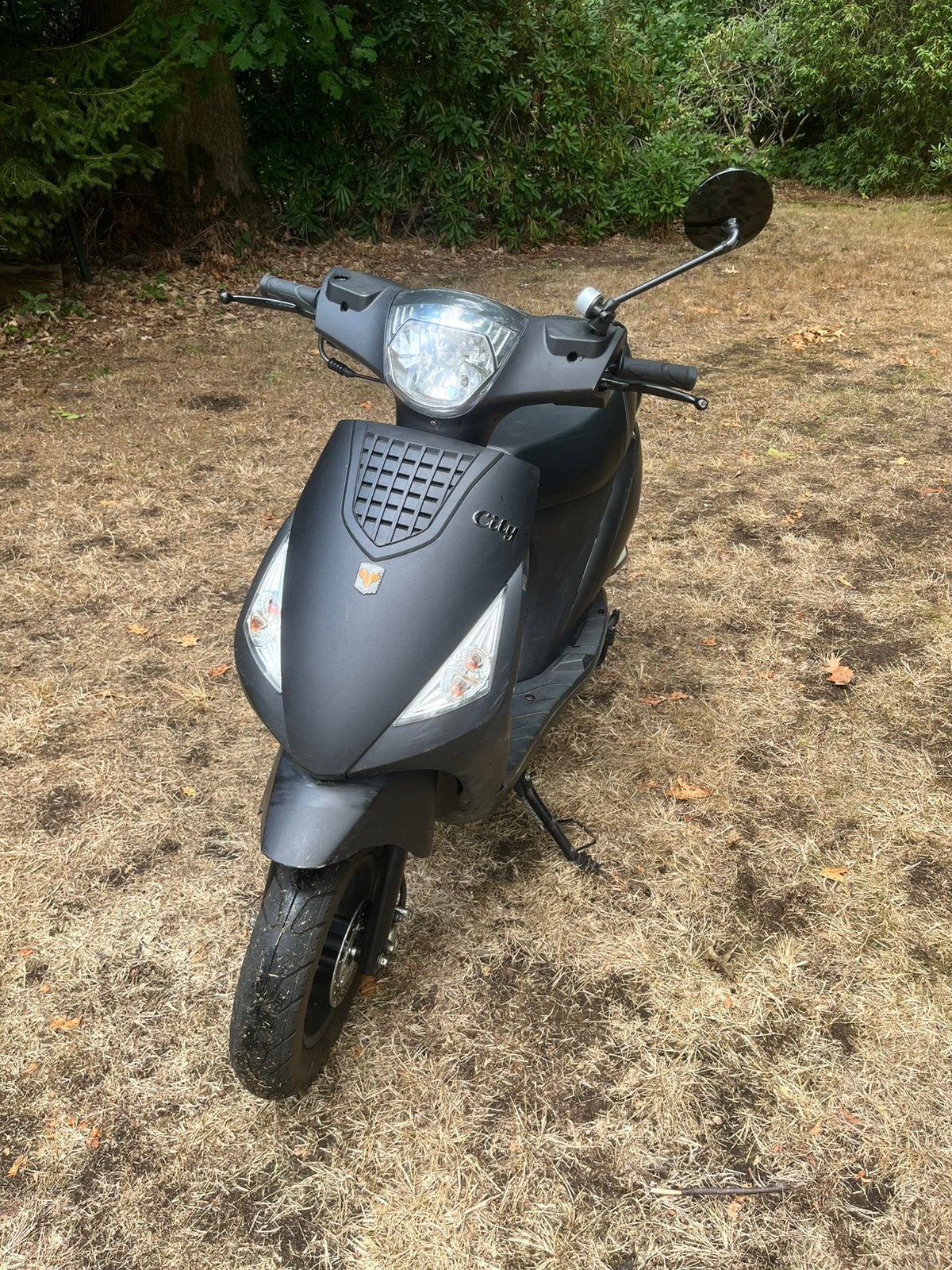 La souris scooter, Vélos & Vélomoteurs, Scooters | Piaggio, Classe B (45 km/h), Enlèvement, Utilisé, Essence