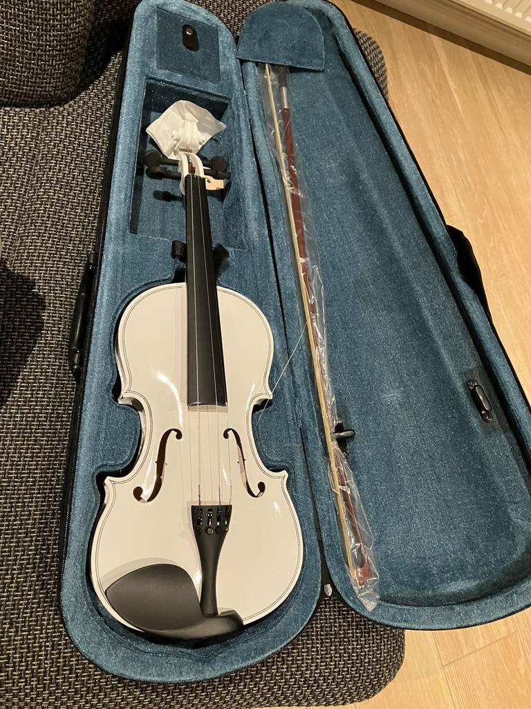 Viool met doos, Musique & Instruments, Instruments à cordes frottées | Violons & Altos, Enlèvement, Comme neuf, Violon