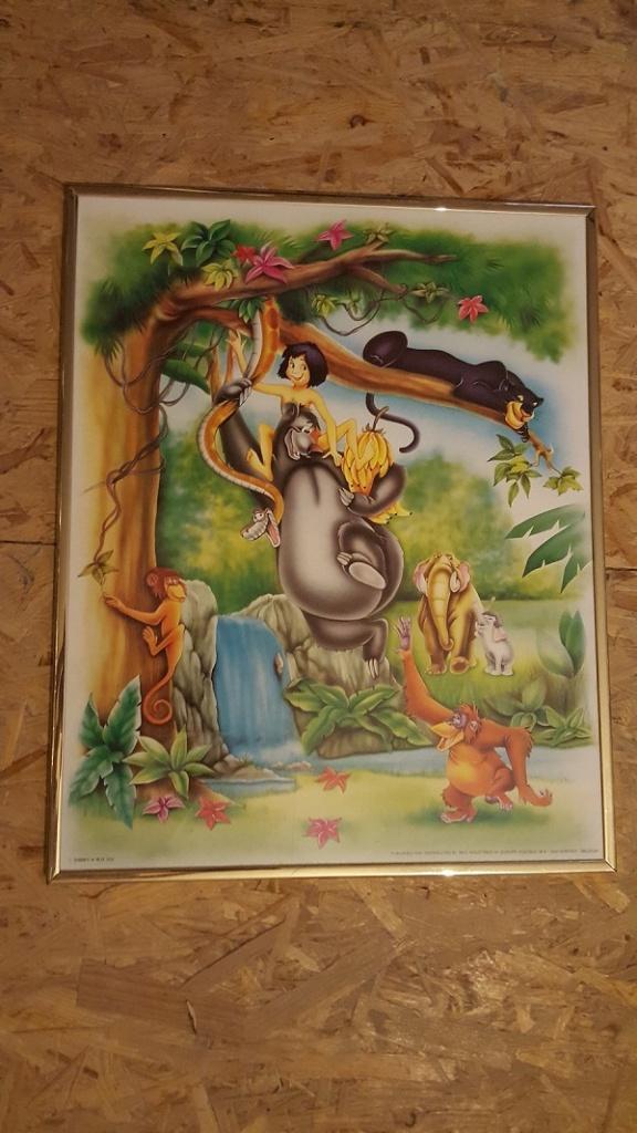 Kader Jungle book, Verzamelen, Disney, Ophalen, Leeuwenkoning of Jungle Boek, Zo goed als nieuw, Overige typen
