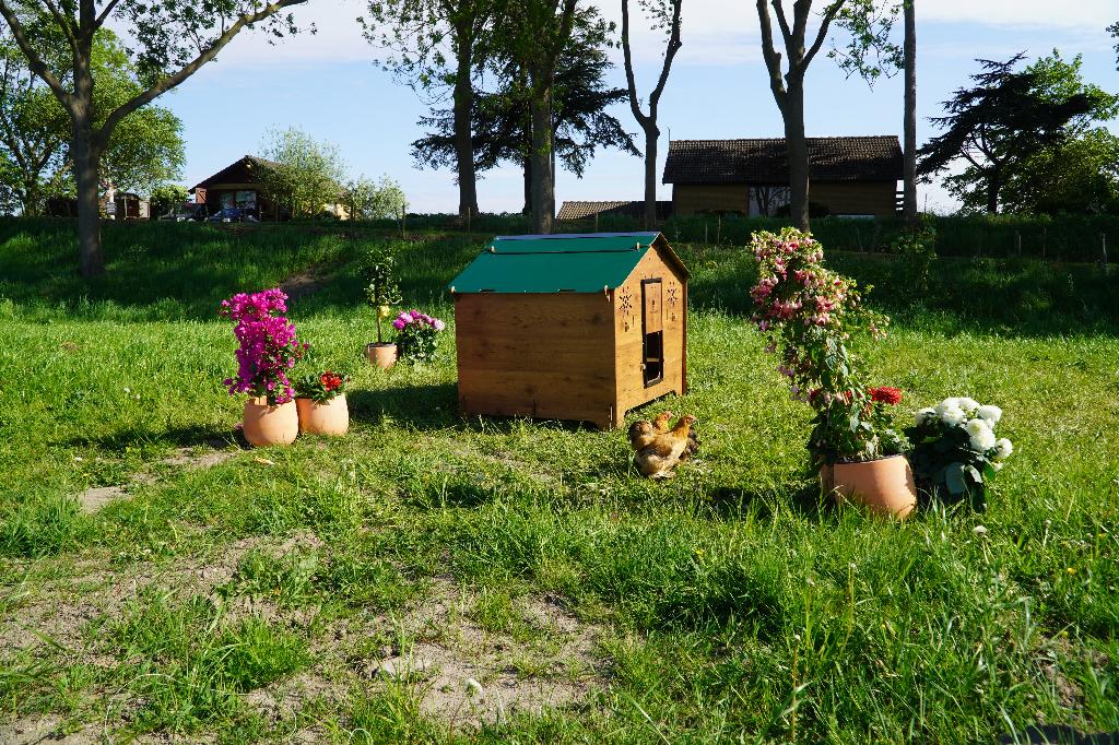 Trespa Kippenhok Cucciolotta | Farm Evolution 3XL, Enlèvement ou Envoi